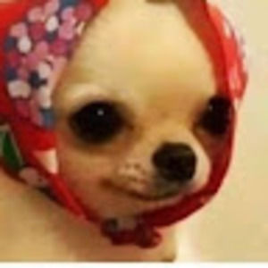 Meet your Posher, Jenn